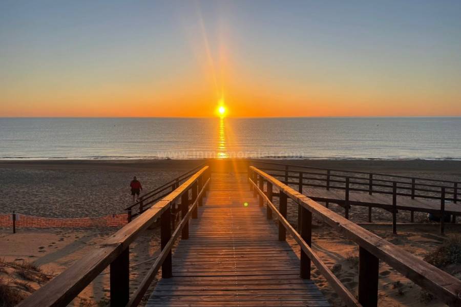 Resale - Apartment  - La Mata