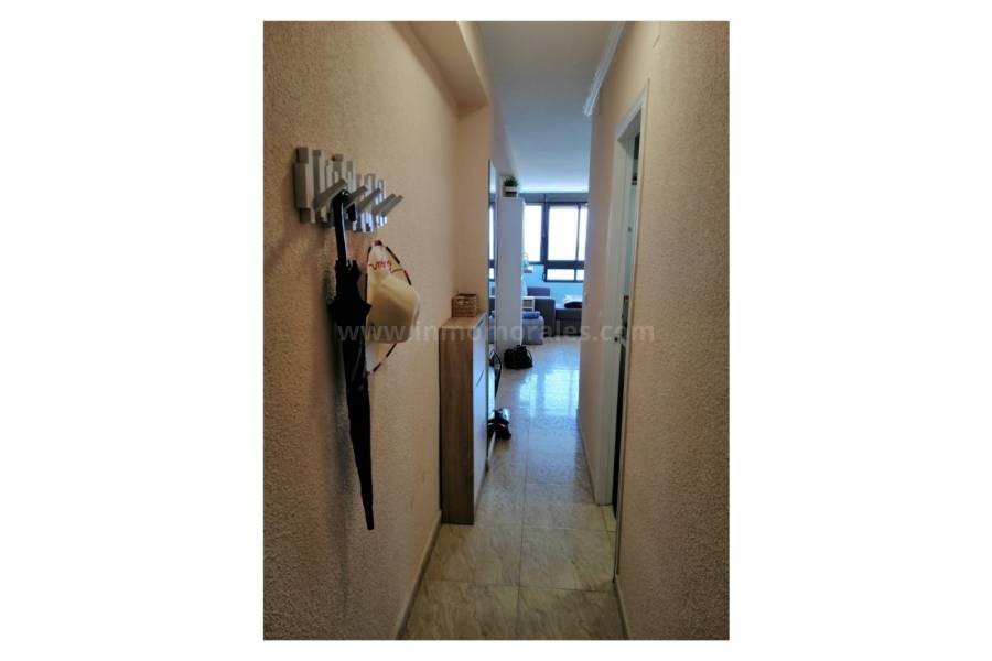 Venta - Apartamento / Piso - La Mata
