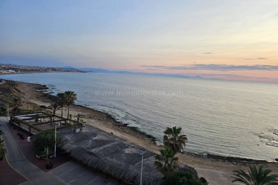 Venta - Apartamento / Piso - La Mata