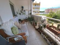 Venta - Apartamento / Piso - Almoradí