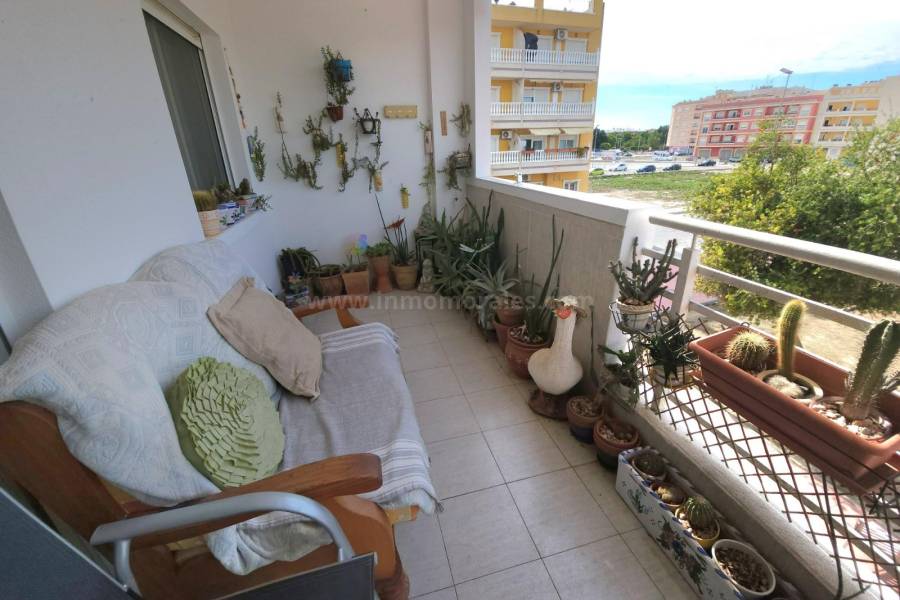 Venta - Apartamento / Piso - Almoradí