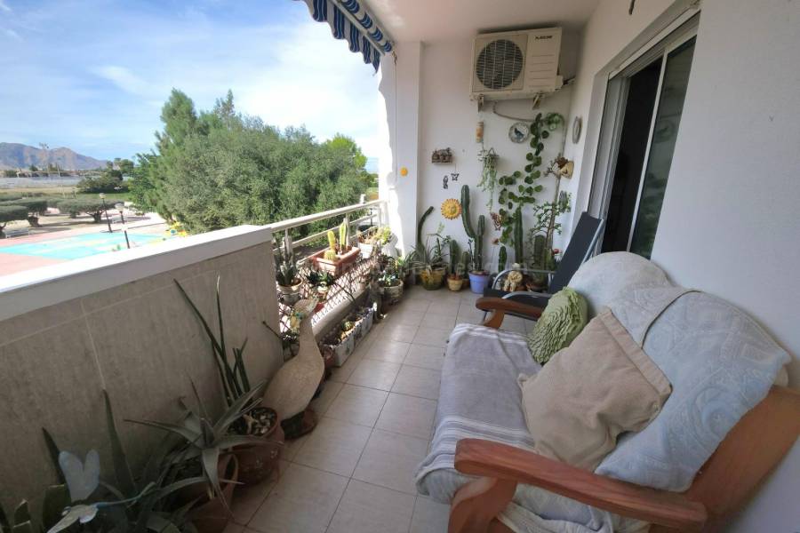 Venta - Apartamento / Piso - Almoradí