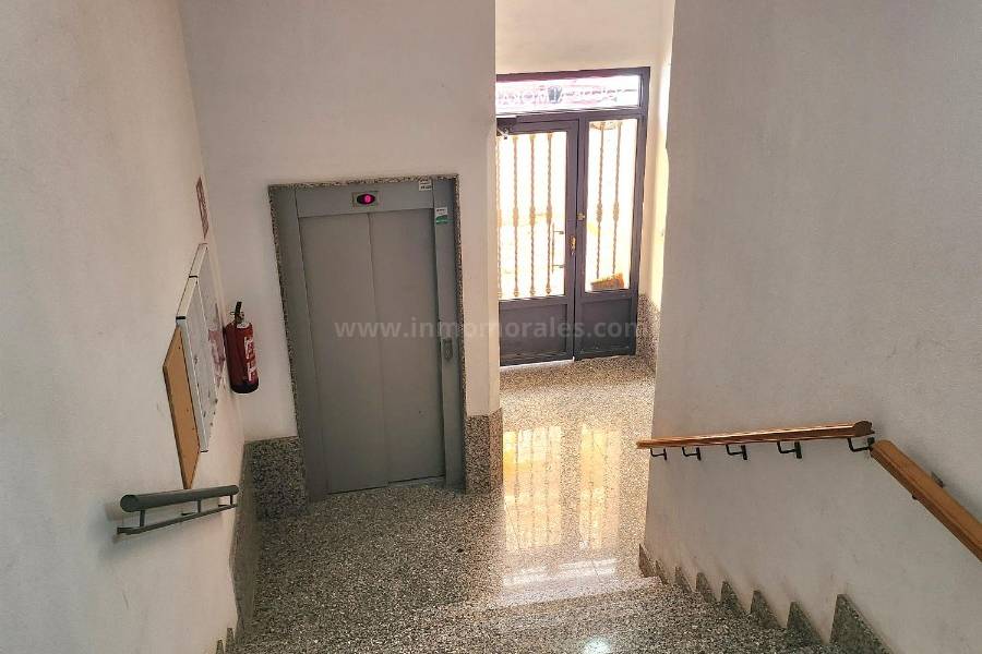 Venta - Apartamento / Piso - Almoradí