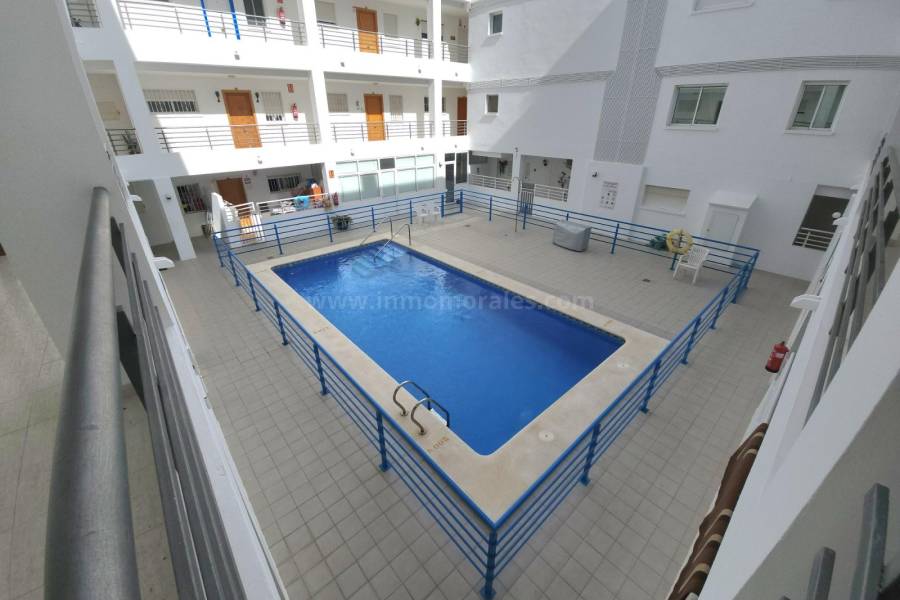 Venta - Apartamento / Piso - Almoradí