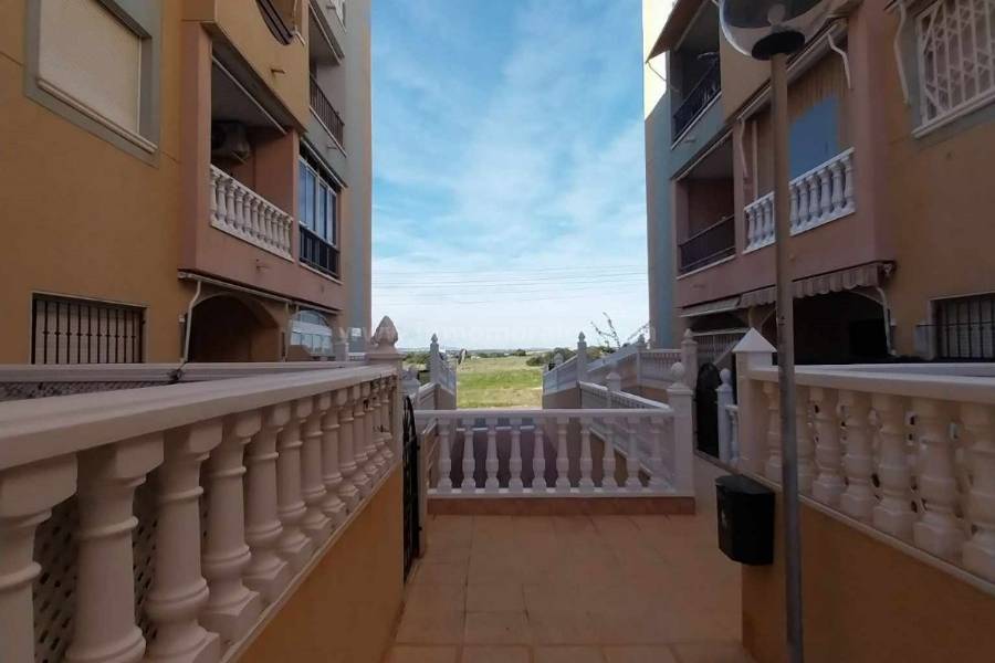 Wiederverkauf - Wohnung/Apartment - La Mata