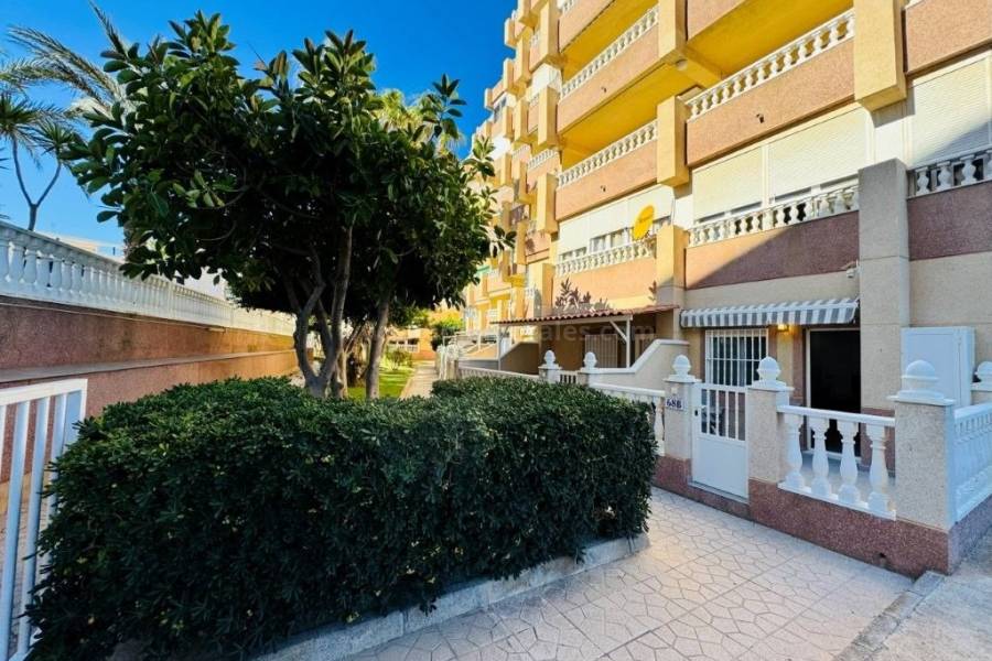 Resale - Apartment  - La Mata