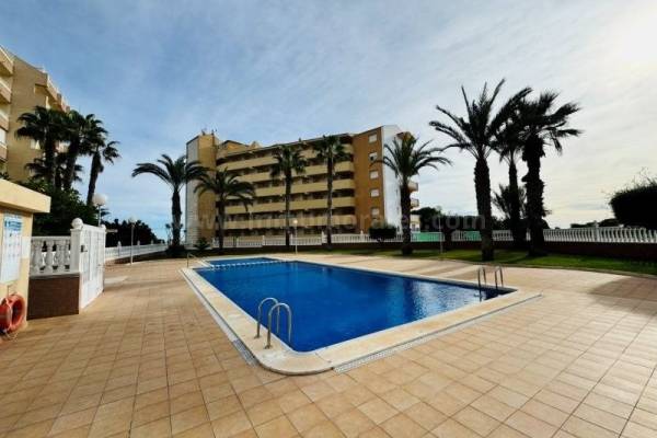 Appartement - Revente - La Mata - La Mata