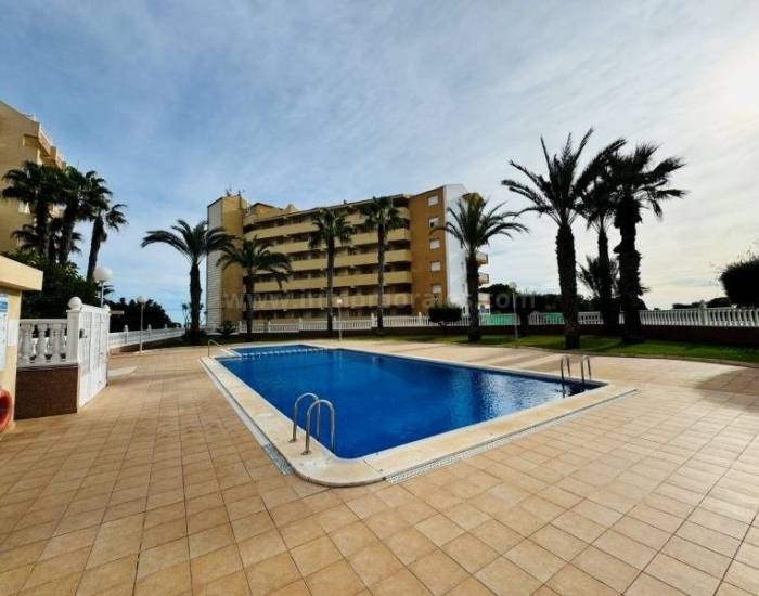 Apartment  - Resale - La Mata - La Mata