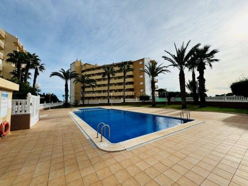 Resale - Apartment  - La Mata