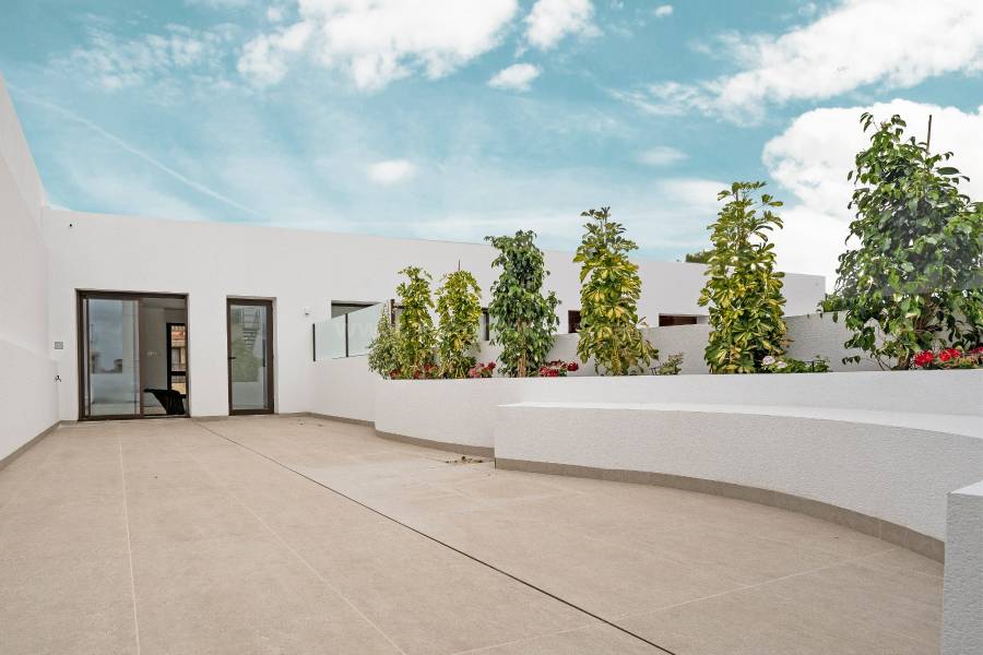 Nueva construcción  - Chalet / Villa - Almoradí