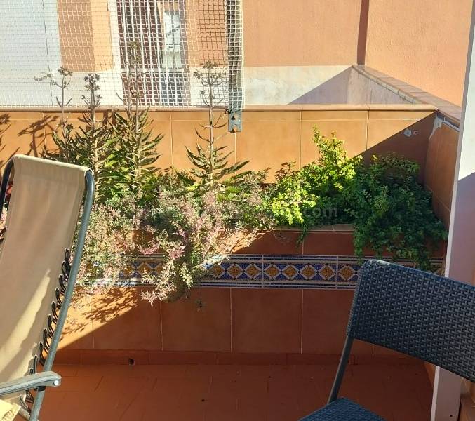 Wiederverkauf - Penthauswohnung - La Mata