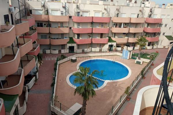Appartement - Herverkoop - Almoradí - Almoradí