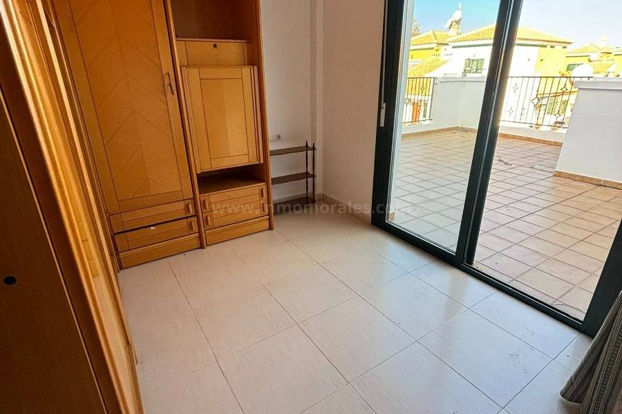 Venta - Semi adosada - Almoradí