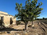 Herverkoop - Om te renoveren - Daya Vieja