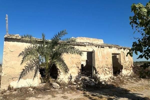 Renovation - Resale - Daya Vieja - Daya Vieja