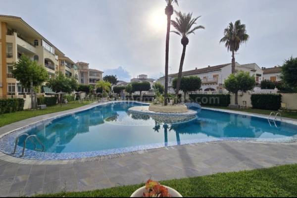 Apartment  - Resale - La Mata - La Mata