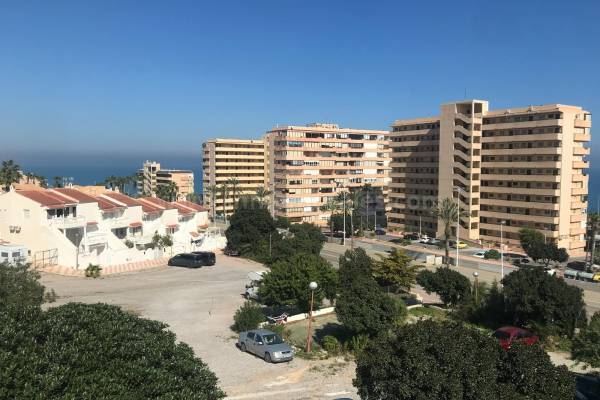 Duplex - Venta - La Mata - Cabo Cervera