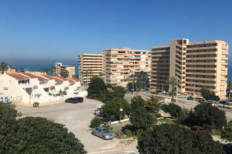 Venta - Duplex - La Mata - Cabo Cervera