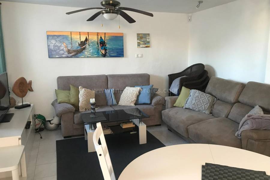 Venta - Duplex - La Mata - Cabo Cervera