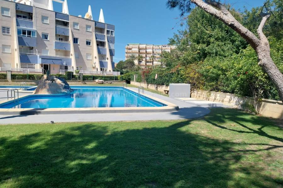 Resale - Apartment  - La Mata