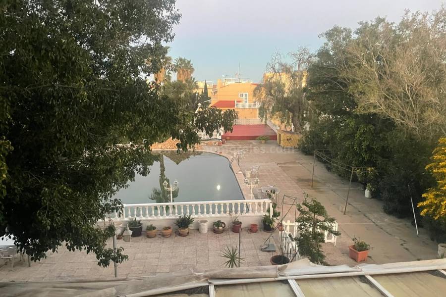 Wiederverkauf - Studio - Torrevieja - Aguas Nuevas