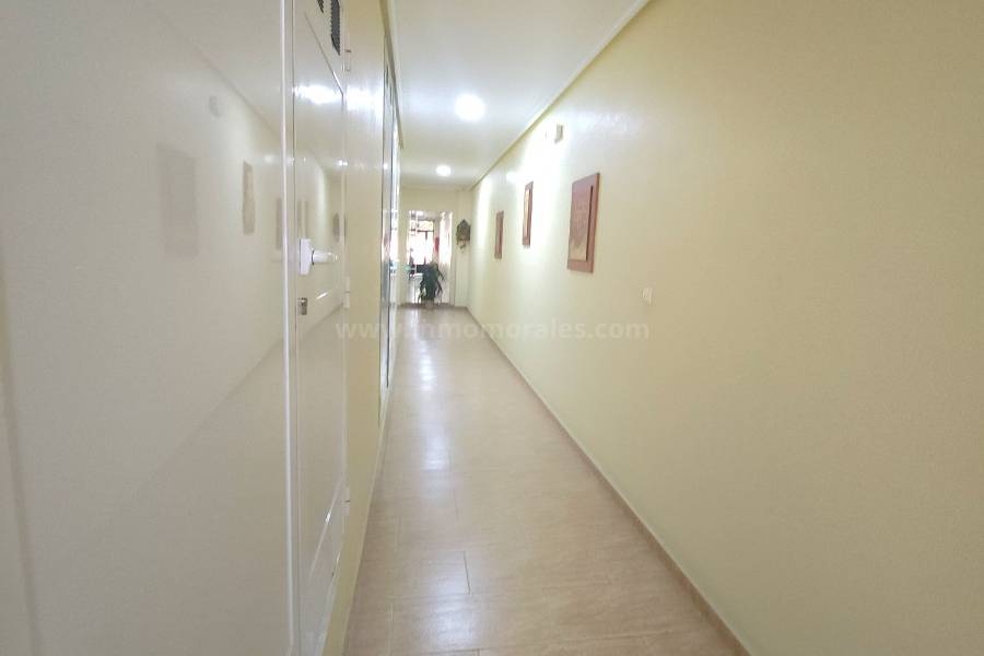 Herverkoop - Appartement - Almoradí