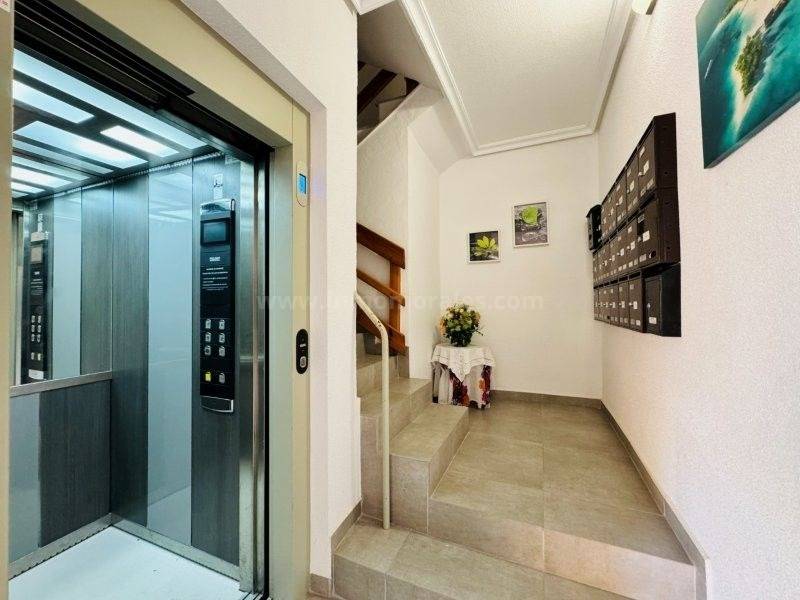 Venta - Apartamento / Piso - La Mata