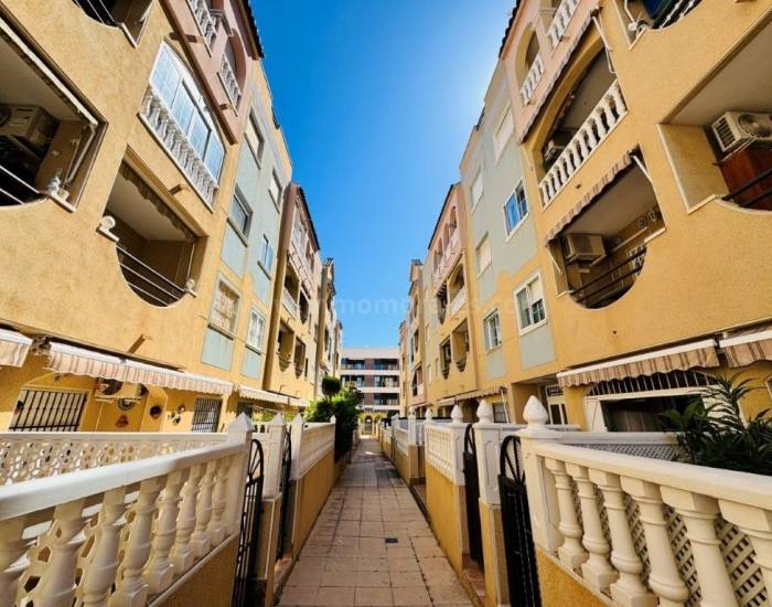 Appartement - Herverkoop - La Mata - La Mata