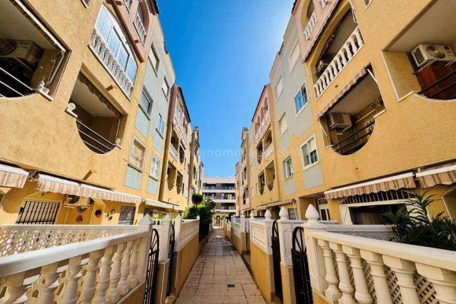 Herverkoop - Appartement - La Mata