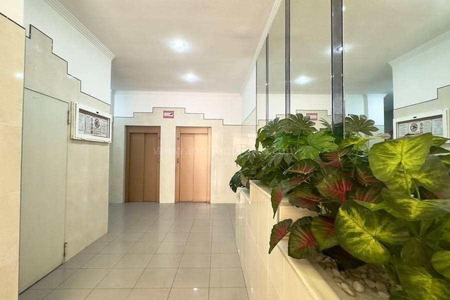 Revente - Appartement - Torrevieja - Centro