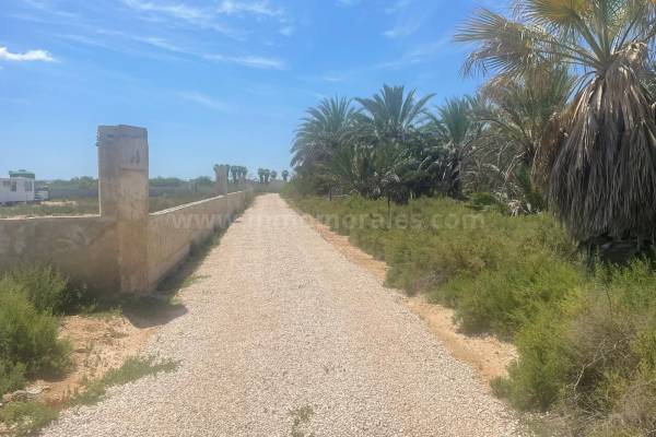 Terreno/Solar - Venta - Catral - Catral