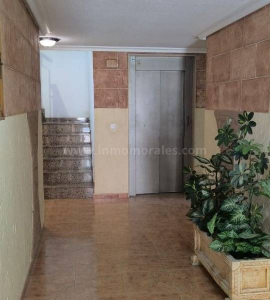 Revente - Appartement - Almoradí
