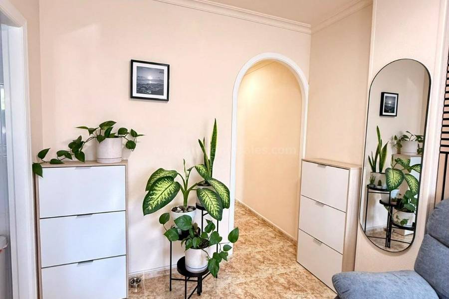 Resale - Apartment  - Torrevieja - Playa de los Locos