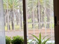 Resale - Apartment  - Torrevieja - Playa de los Locos