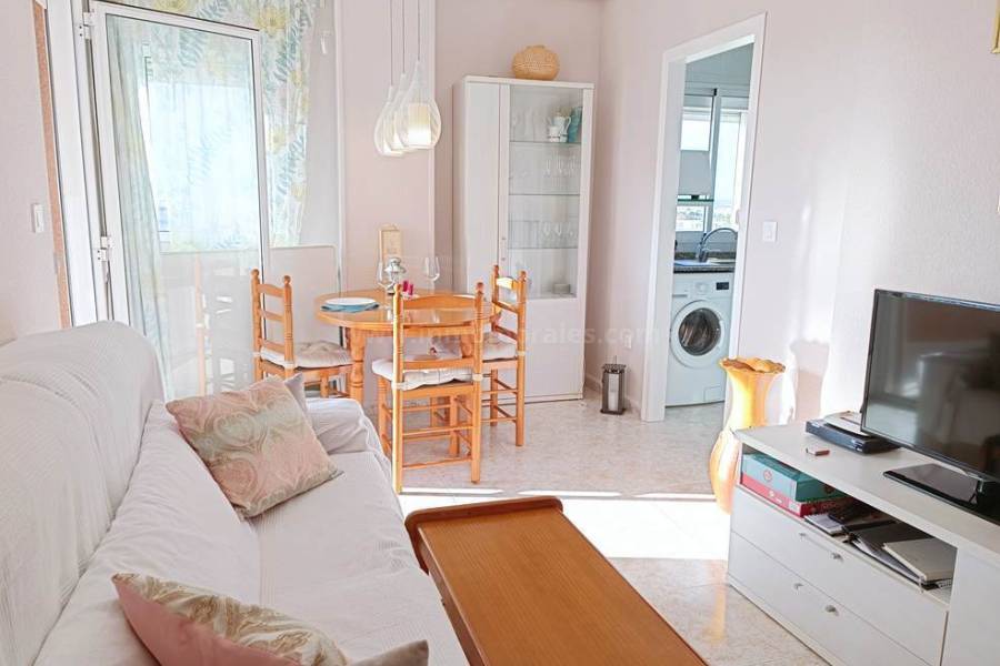 Resale - Apartment  - Torrevieja - Nueva Torrevieja