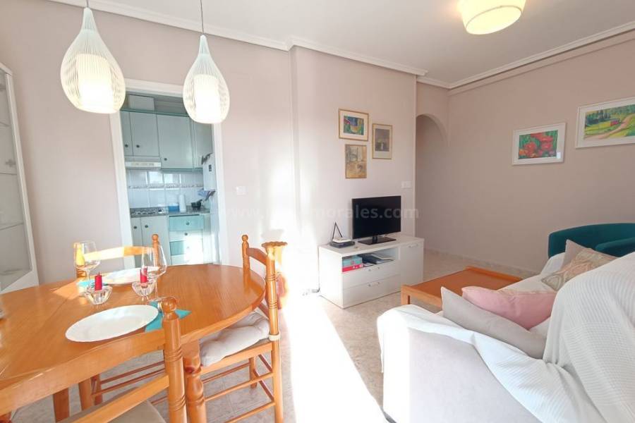 Resale - Apartment  - Torrevieja - Nueva Torrevieja