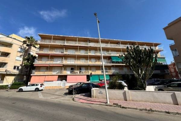 Apartment  - Resale - La Mata - La Mata