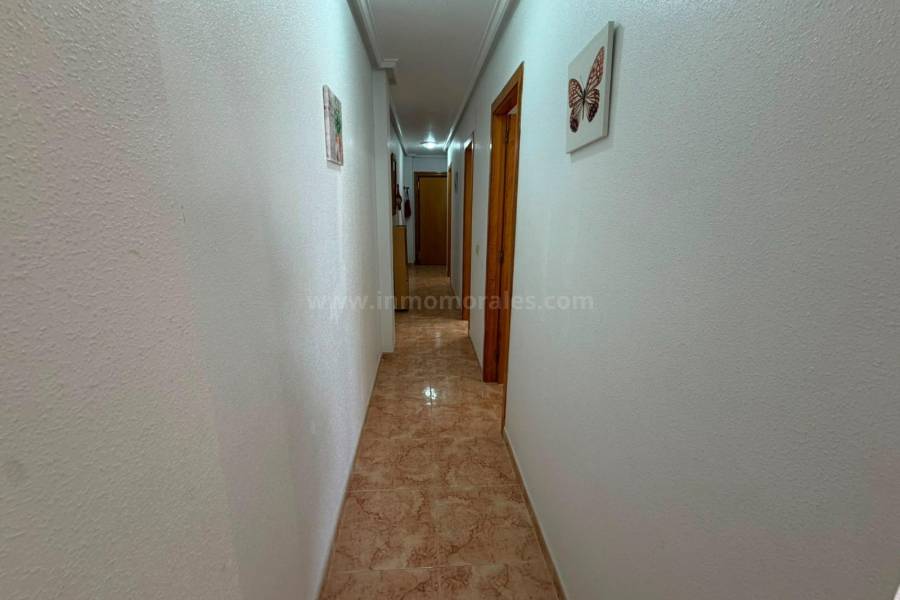 Herverkoop - Appartement - Torrevieja - Centro