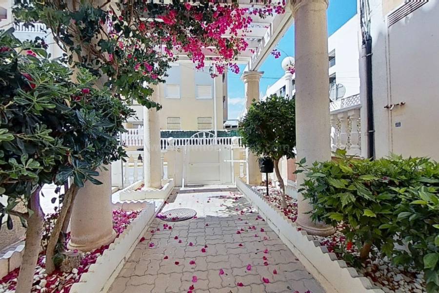 Revente - Appartement - La Mata