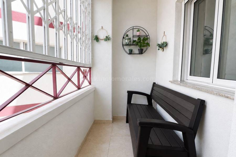Revente - Appartement - Torrevieja - Centro