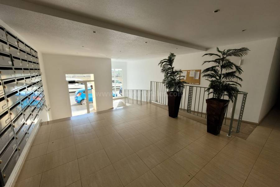 Revente - Appartement - Almoradí