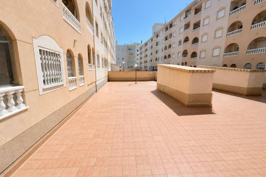 Revente - Appartement - Torrevieja - Centro