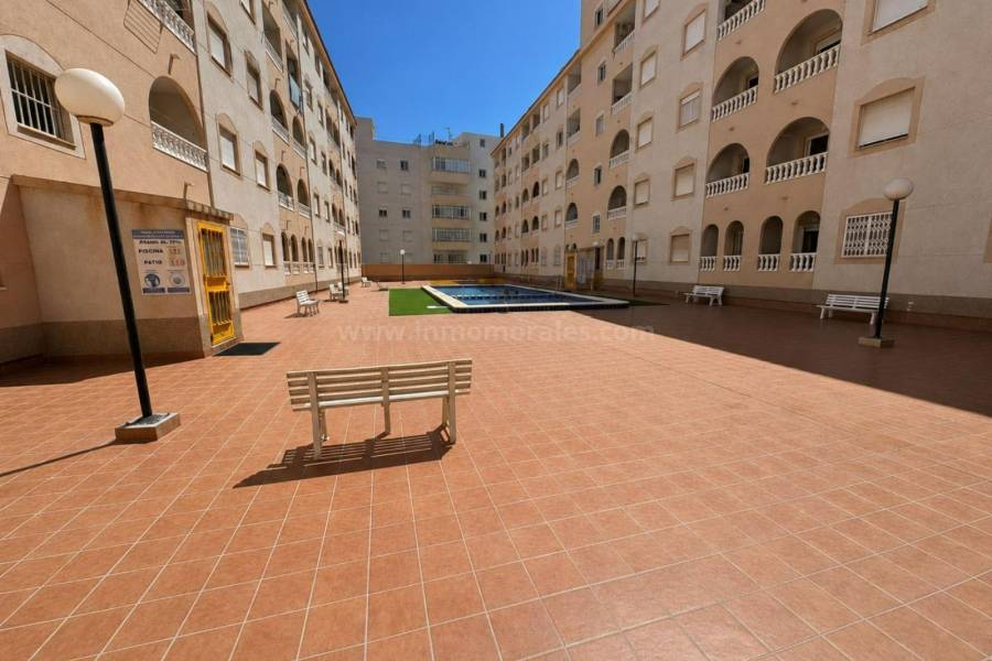 Revente - Appartement - Torrevieja - Centro