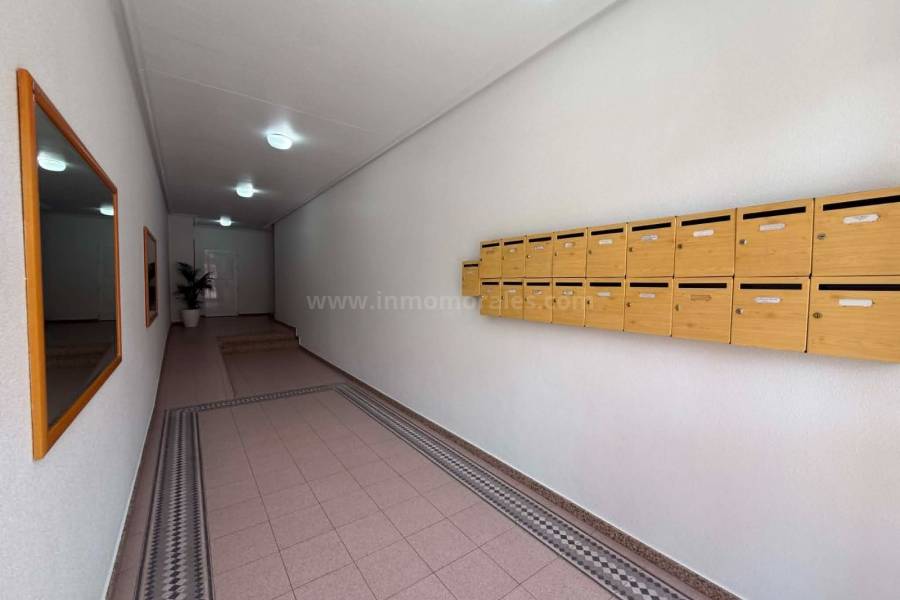Revente - Appartement - Almoradí