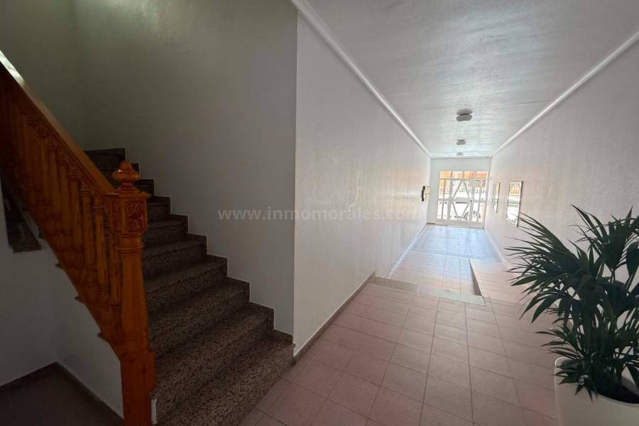 Revente - Appartement - Almoradí