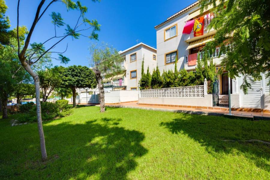 Venta - Apartamento / Piso - Torrevieja - Torreblanca