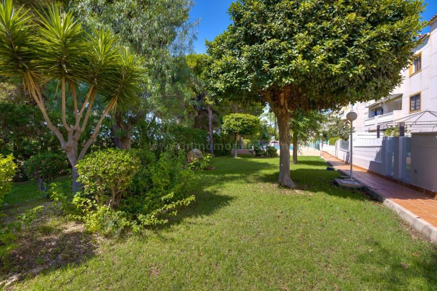 Venta - Apartamento / Piso - Torrevieja - Torreblanca