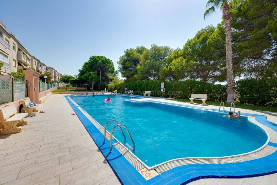 Venta - Apartamento / Piso - Torrevieja - Torreblanca