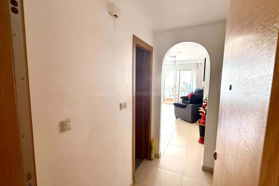 Venta - Apartamento / Piso - Almoradí