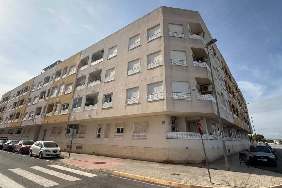 Venta - Apartamento / Piso - Almoradí